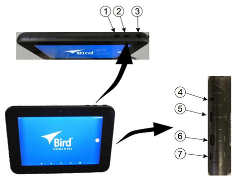 Bird 5000-NG RF功率计显示器